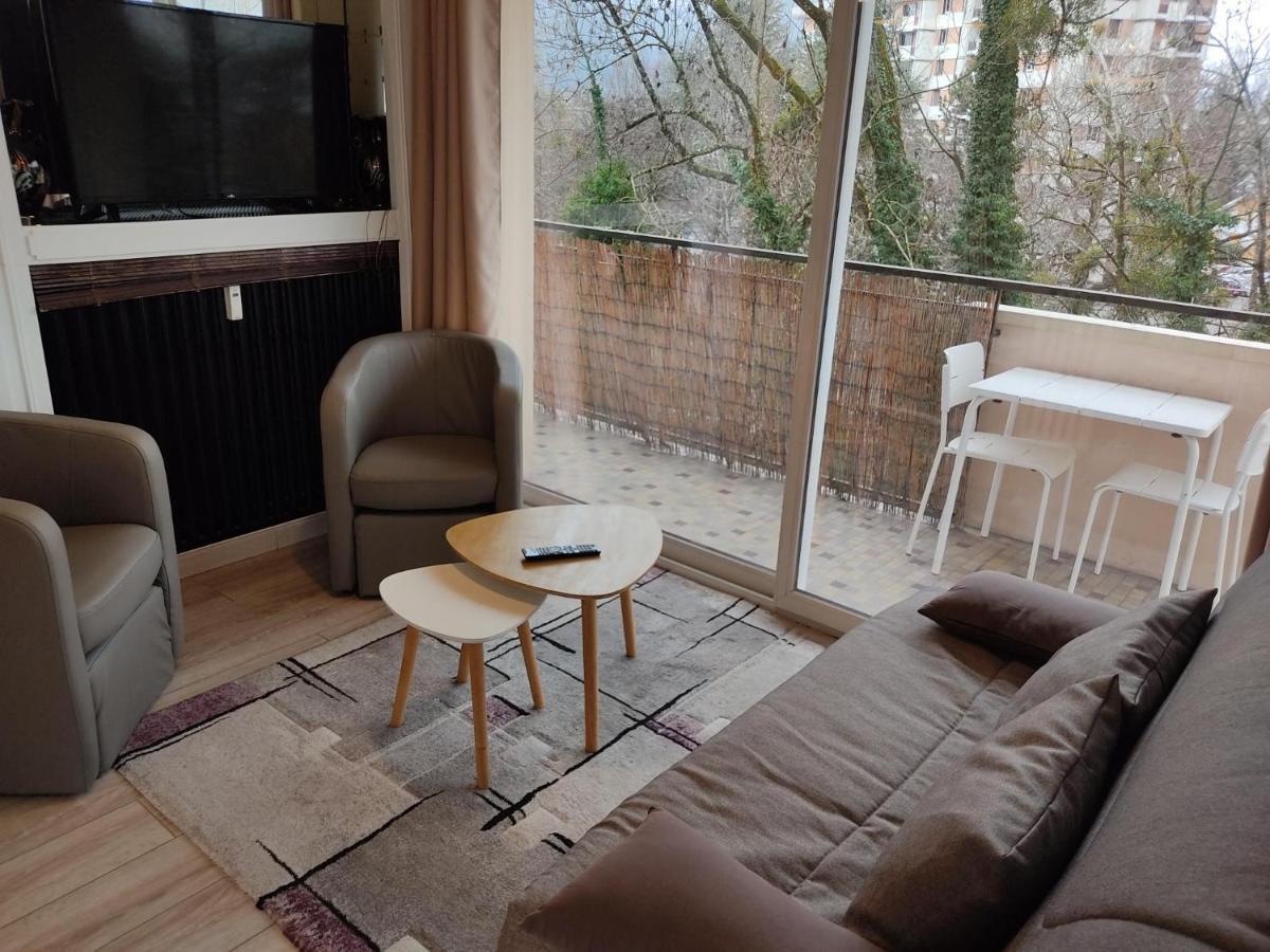 Charmant Appartement Au Bord Du Thiou - Анси Екстериор снимка