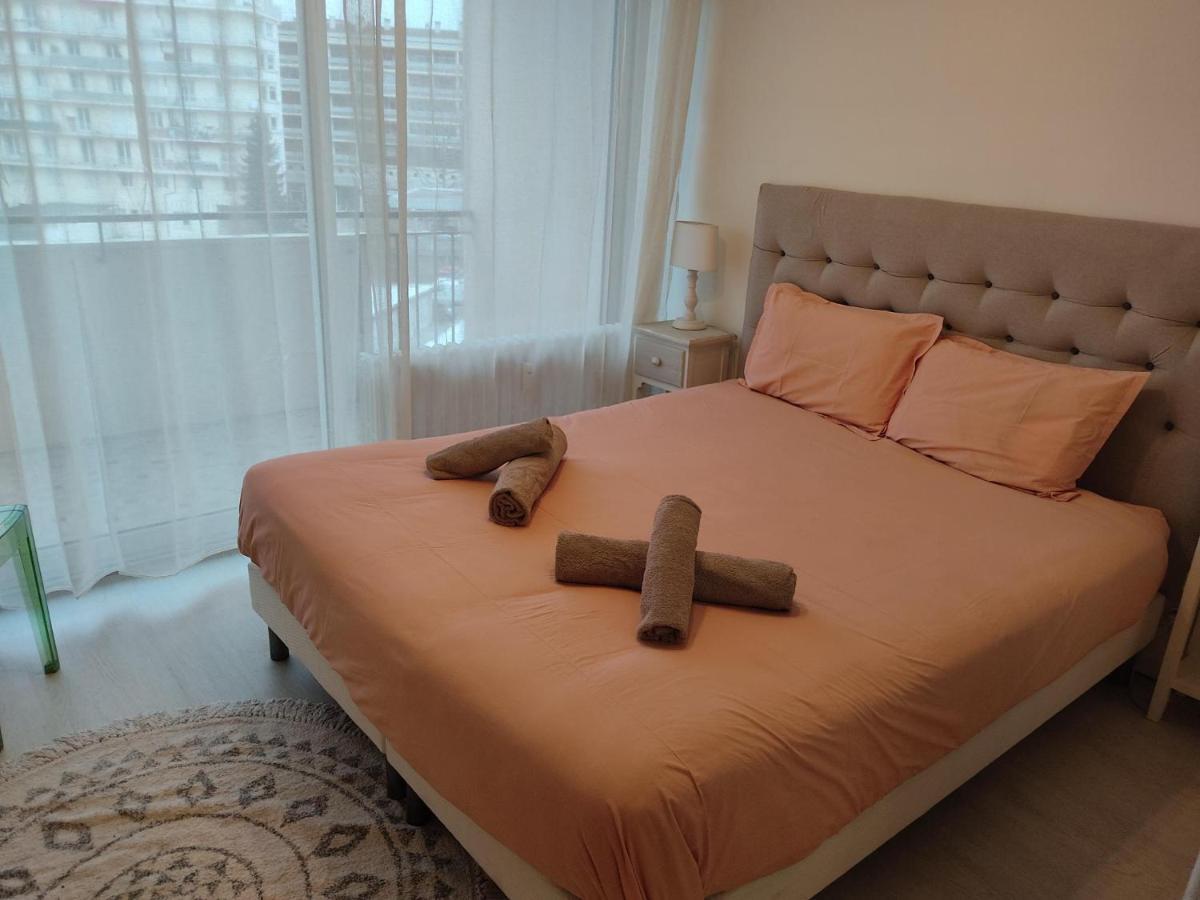 Charmant Appartement Au Bord Du Thiou - Анси Екстериор снимка