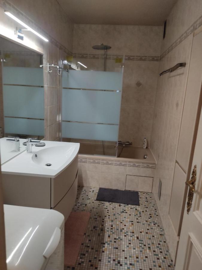 Charmant Appartement Au Bord Du Thiou - Анси Екстериор снимка